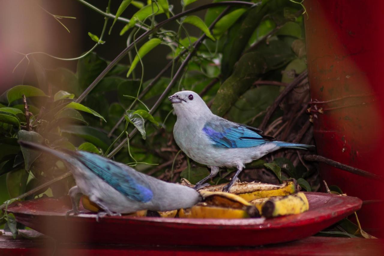 Hacienda Venecia Coffee Farm Hotel Manizales Bagian luar foto