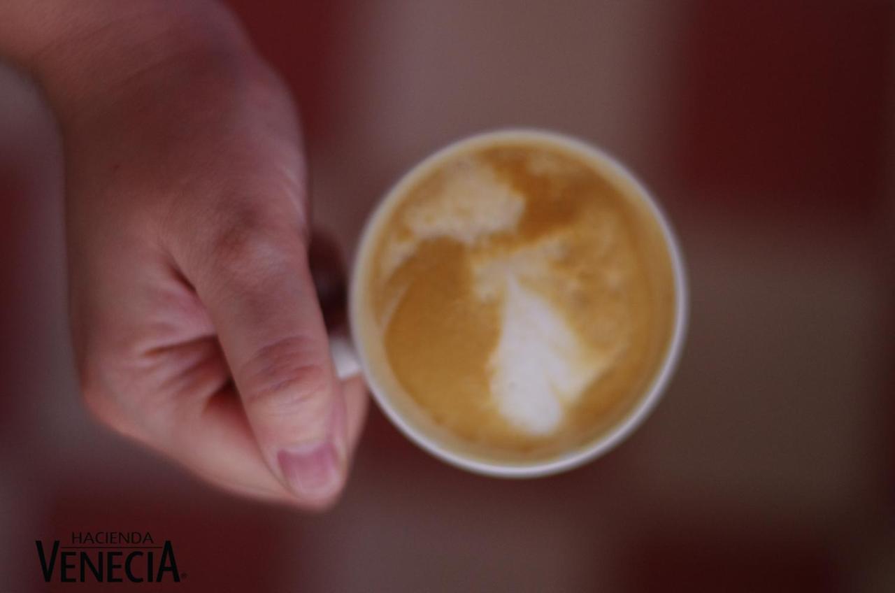 Hacienda Venecia Coffee Farm Hotel Manizales Bagian luar foto