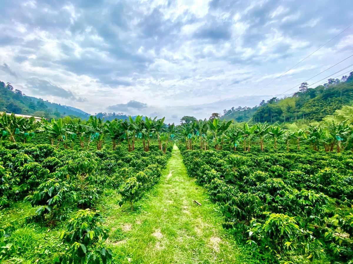 Hacienda Venecia Coffee Farm Hotel Manizales Bagian luar foto