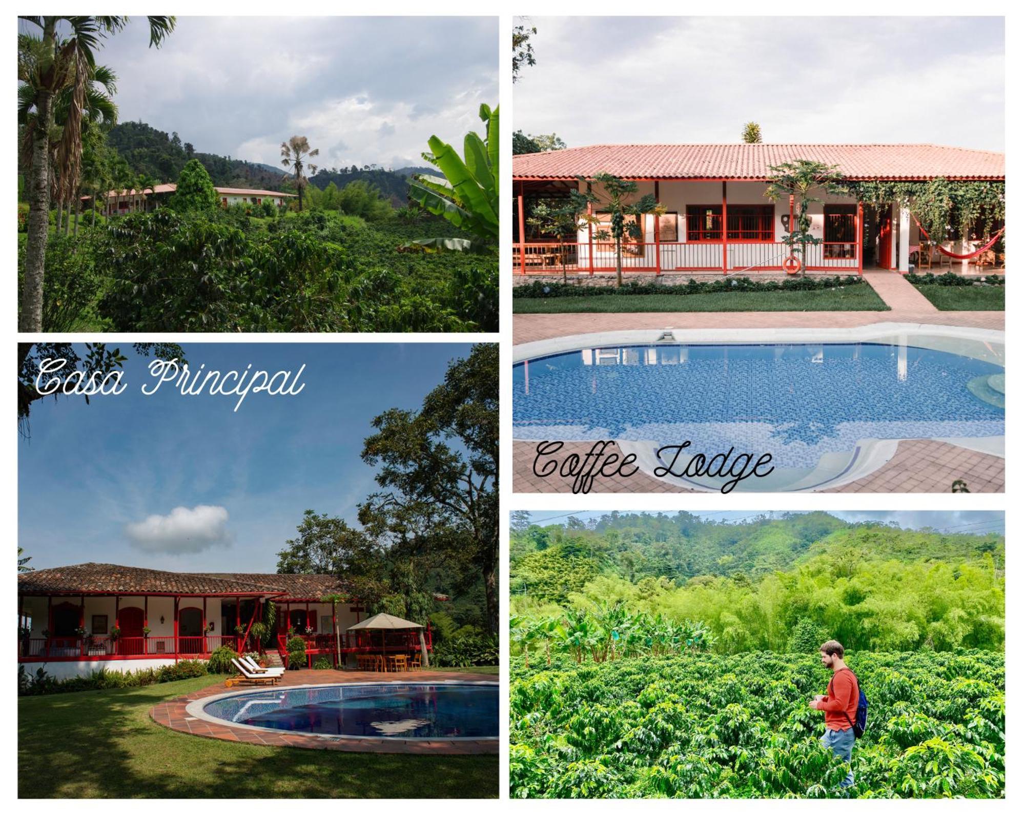 Hacienda Venecia Coffee Farm Hotel Manizales Bagian luar foto