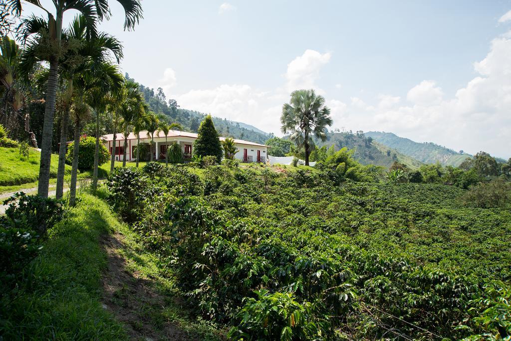 Hacienda Venecia Coffee Farm Hotel Manizales Ruang foto