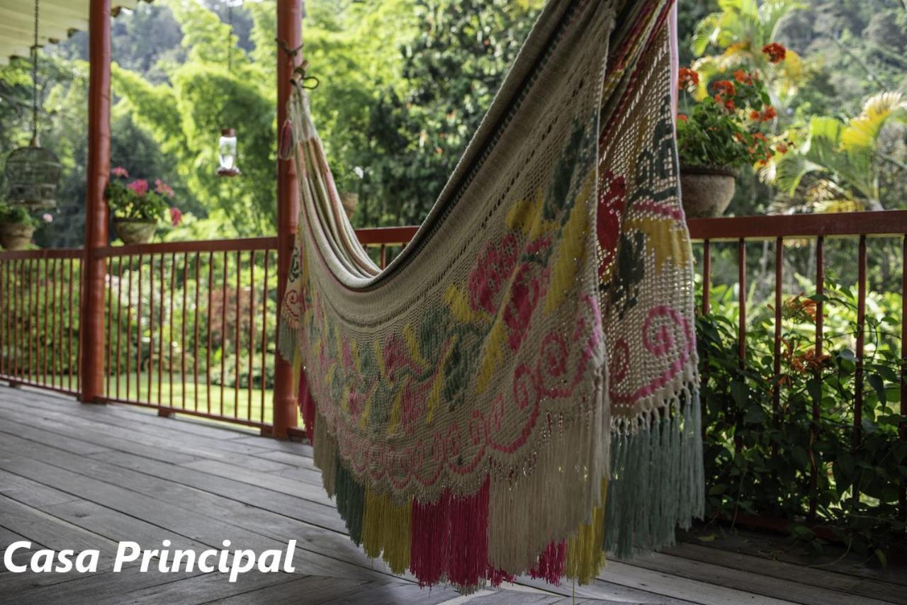 Hacienda Venecia Coffee Farm Hotel Manizales Bagian luar foto
